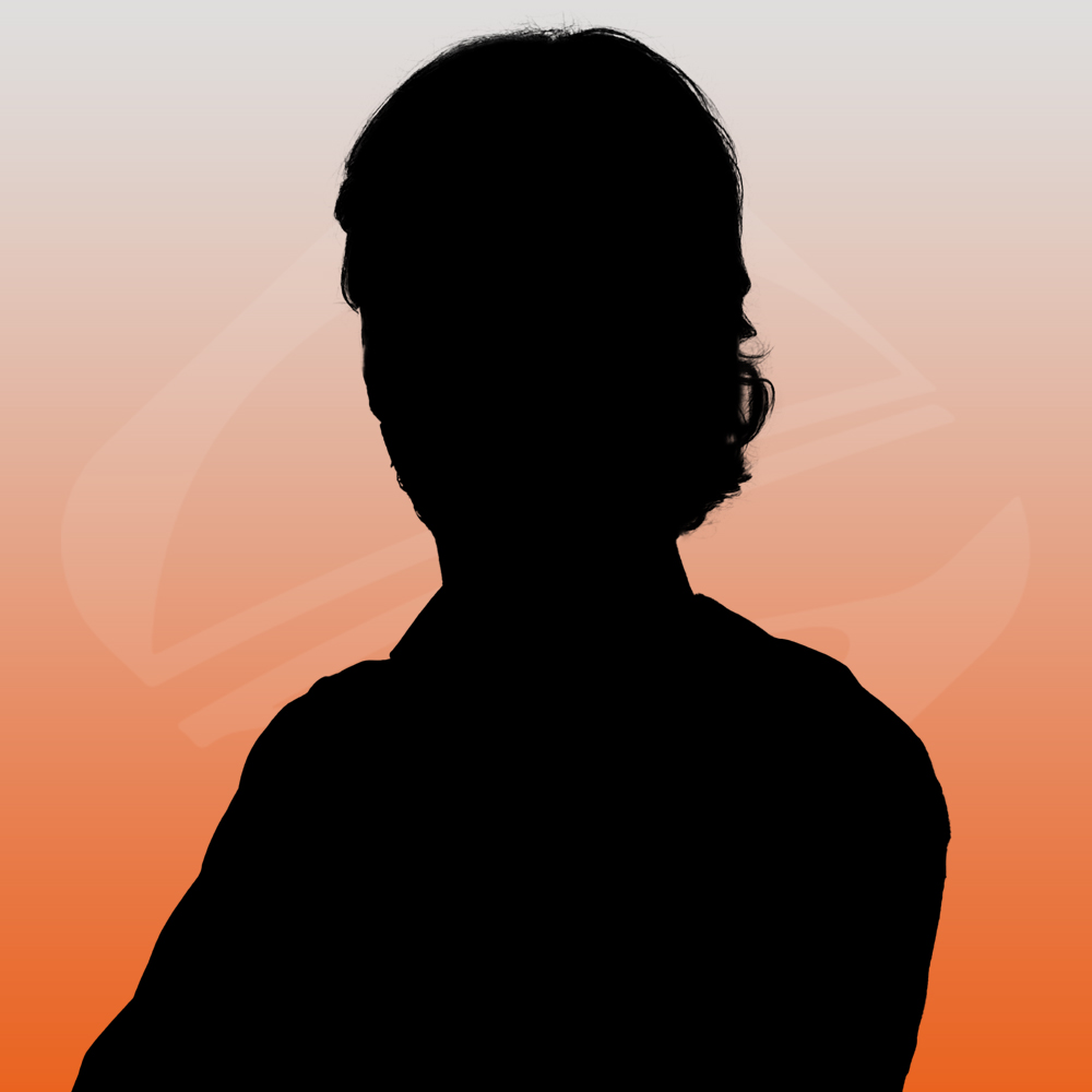 System Engineer System Engineer